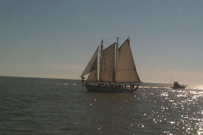 scenic view of fort myers beach bay and gulf from excursion boat